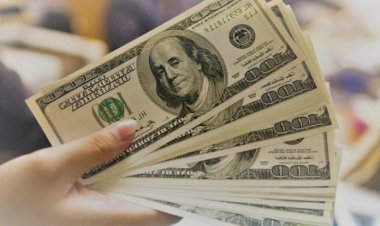 Dolar 20 ay sonra 7 TL'yi aştı