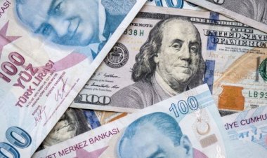 Dolar neden yükseliyor, kurun 7 TL'yi aşmasını uzmanlar nasıl yorumluyor?