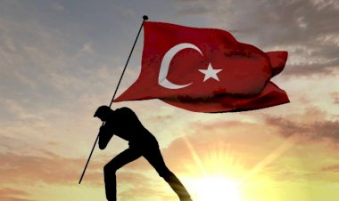 Türkçülük öze dönüştür