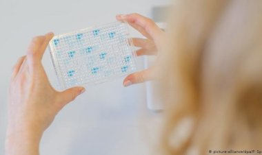 Almanya'ya Roche’dan milyonlarca antikor testi