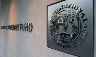 IMF'den korkutan kehanet: O listede Türkiye de var