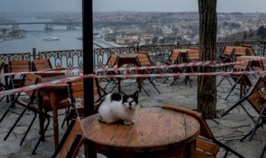 Koronavirüs: Restoran ve kafe sahipleri, 'Yeme-içme sektörünün toparlanması bir yılı bulur' diyor