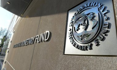 IMF uyardı: İşler daha kötüye gidecek