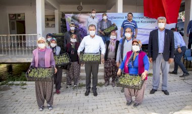 Lavantayla 50 boş ve parçalı arazi tarıma kazandırılıyor