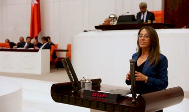 İstanbul Milletvekili Oya Ersoy'un hazırlamış olduğu "Koronanın İki Aylık Raporu