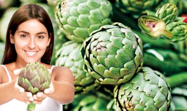 Niçin enginar tüketmeliyiz?