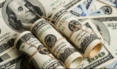 Merkez Bankası yıl sonu dolar kuru beklentisini açıkladı