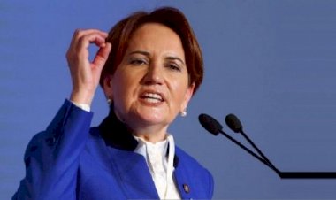 Akşener: O keneleri Erdoğan'ın sırtından atın