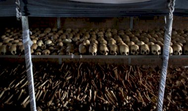 Ruanda Soykırımı: Ruanda'da neler oldu? Batı'nın rolü ne?