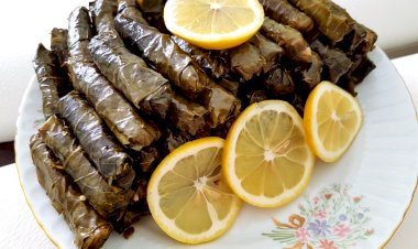 Zeytinyağlı Yaprak Sarması