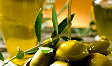Zeytinden doğan mucize: Zeytin sütü