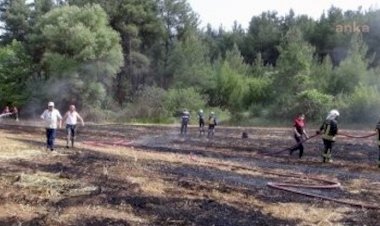 Yanan tarlada emekli savcının cesedi bulundu