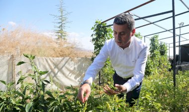 Gölbaşı park ve bahçelerinde çalışmalar sürüyor…