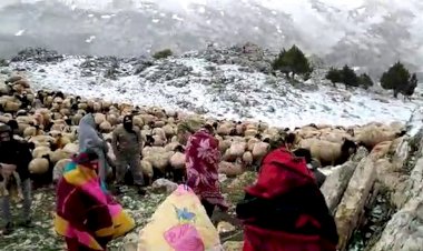 Bayramda kahreden görüntüler: Yörük Ana’nın isyanı