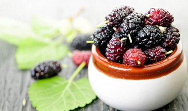 Dutun faydaları nelerdir?