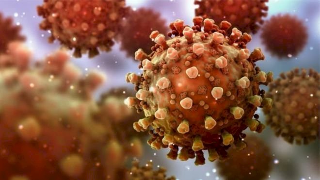 Koronavirüse iki kez yakalanmak mümkün mü, bağışıklık nasıl oluşur ve ne kadar sürer?