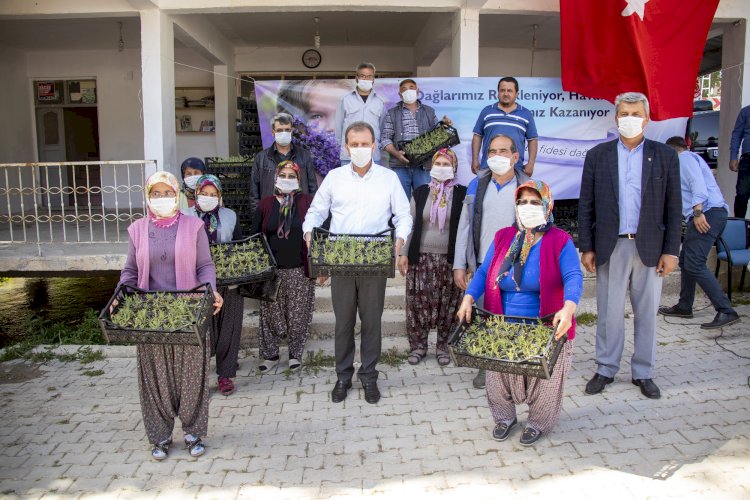 Lavantayla 50 boş ve parçalı arazi tarıma kazandırılıyor