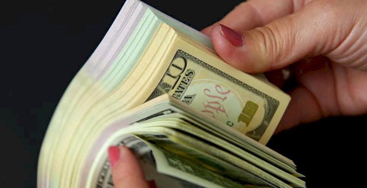 WSJ: Türkiye döviz krizini önlemeye çalışıyor