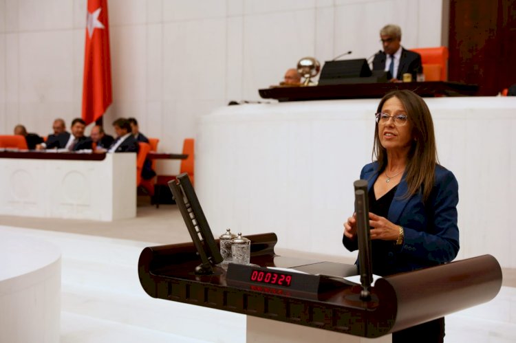 İstanbul Milletvekili Oya Ersoy'un hazırlamış olduğu "Koronanın İki Aylık Raporu