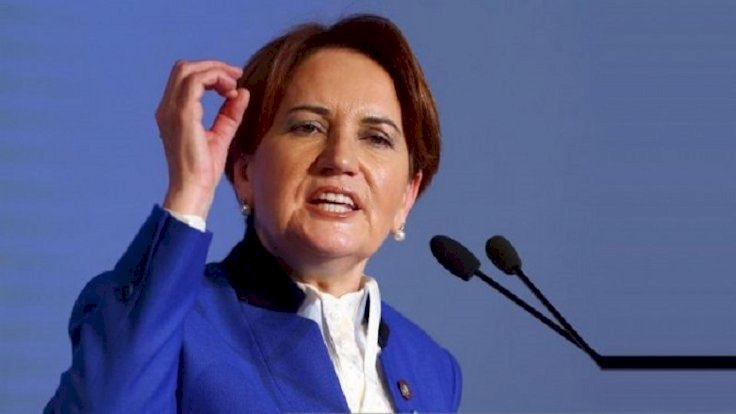Akşener: O keneleri Erdoğan'ın sırtından atın