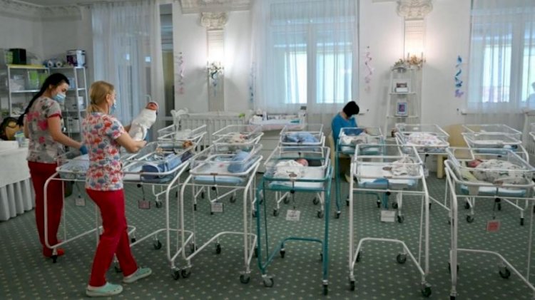Yoksul Ukrayna'nın büyüyen 'sektörü': Ticari taşıyıcı annelik