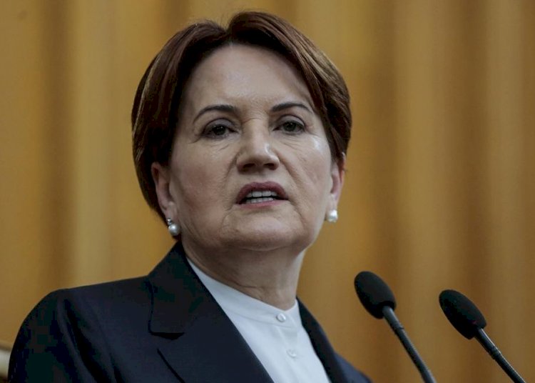 Meral Akşener: Selahattin Demirtaş bana 'İngiliz demokrasisi tarzındasınız' demişti
