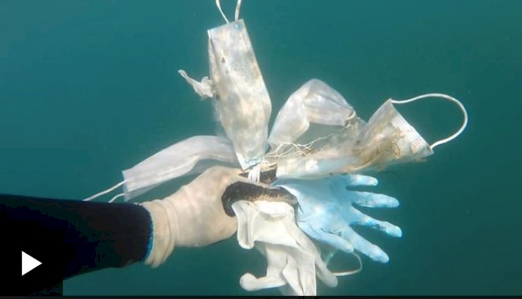 Fransız rivierasında 'yeni koronavirüs kirliliği': Denizlerden maske ve eldiven çıkarılıyor