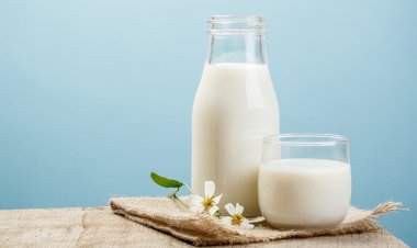 Kemik Sağlığı ve Güçlü Bir Bağışıklık için Süt İçmeyi İhmal Etmeyin!