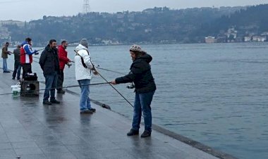Rüyada Balık Tutmak Nedir? Ne Anlama Gelir?