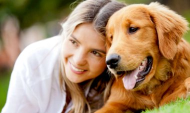 Rüyada Köpek Görmek Ne Anlama Gelir?