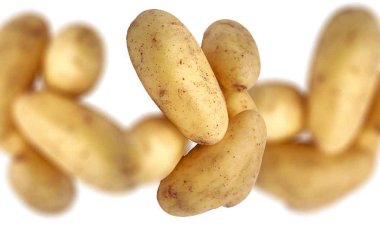 Rüyada Patates Görmek Ne Anlama Gelir?