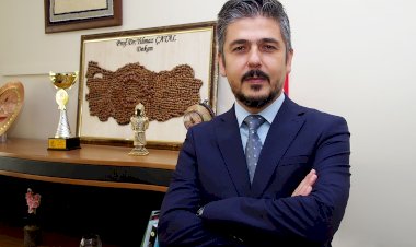 Havada uçuşan kavak pamukçukları alerjen midir?