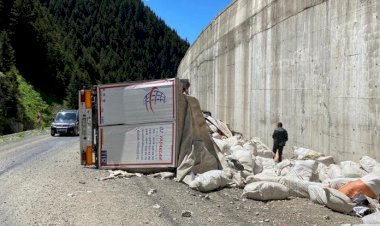 İran'dan Rize'ye çay getirirken devrilen tır Meclis gündeminde