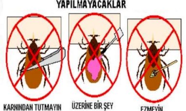 AHEF KIRIM KONGO KANAMALI ATEŞİ İLE İLGİLİ UYARILARDA BULUNUYOR