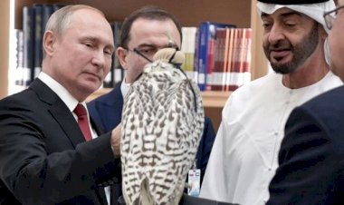 Birleşik Arap Emirlikleri, Türkiye'nin Orta Doğu'daki en büyük rakibine mi dönüşüyor?