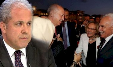 Şamil Tayyar: Perinçek'in AK Parti'deki itibarı tuhaf