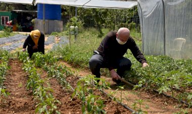 65 yaş üstü Tuzlalılar, hem eğlendi hem de ihtiyaç sahibinin mahsulünü topladı