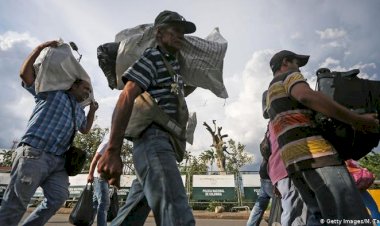 Dünyanın yüzde 1'i yerinden edildi