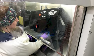Signify UV-C’leri covid 19 virüsünü etkisiz hale getiriyor!