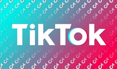 TikTok hayvanlara şiddete karşı HAYTAP ile el ele veriyor