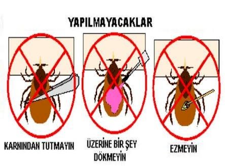 AHEF KIRIM KONGO KANAMALI ATEŞİ İLE İLGİLİ UYARILARDA BULUNUYOR
