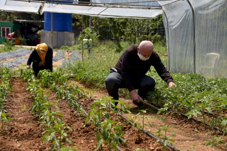 65 yaş üstü Tuzlalılar, hem eğlendi hem de ihtiyaç sahibinin mahsulünü topladı
