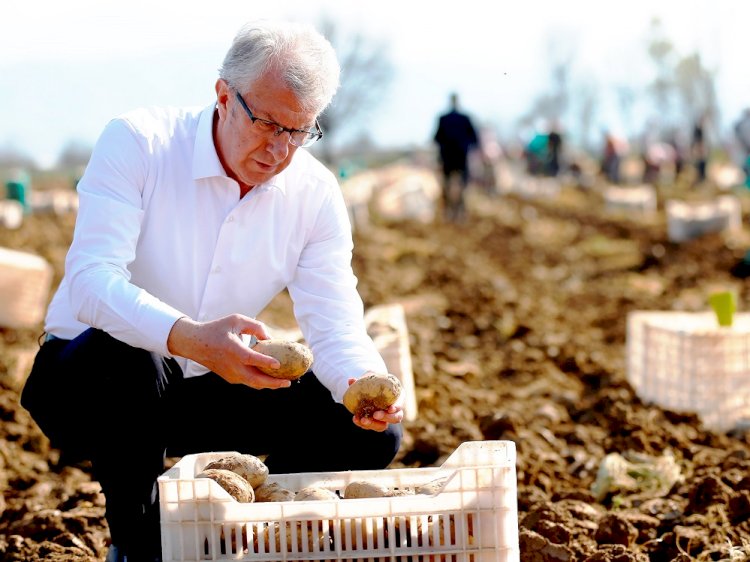 Patates üreticisine destek, belediyelere çağrı