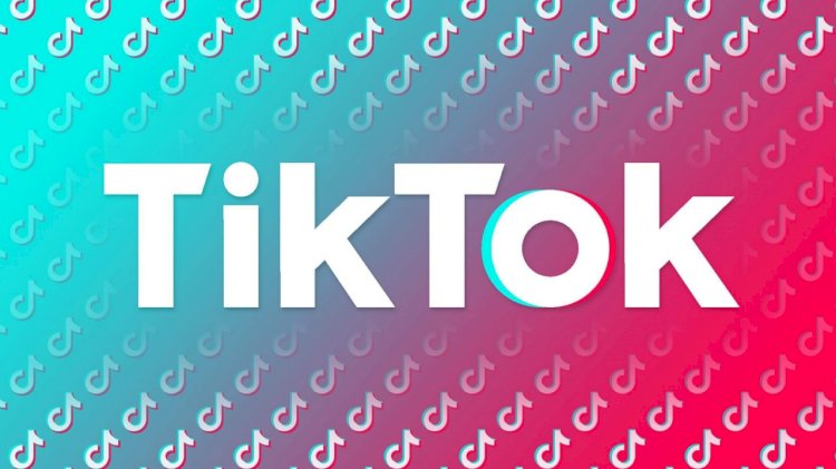 TikTok hayvanlara şiddete karşı HAYTAP ile el ele veriyor