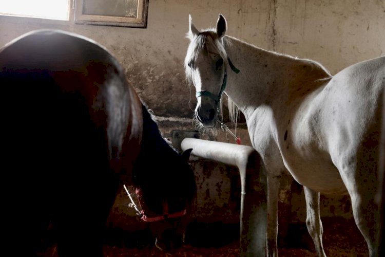 ADALAR’DA YENİ DÖNEM BAŞLADI