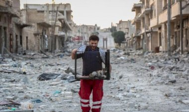 Welt: Suriye'ye yardım için Rusya'dan çekinilmemeli