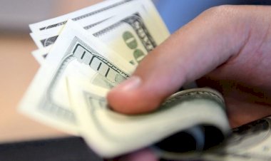Reuters: Kamu bankaları ve Merkez Bankası piyasalara 100 milyar dolar verdi