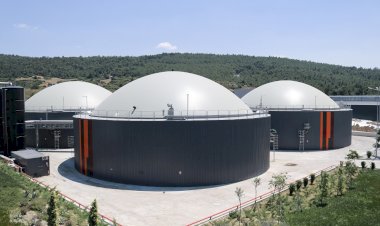 HAYVAN DIŞKILARI ELEKTRİK VE ORGANİK GÜBREYE DÖNÜŞÜYOR