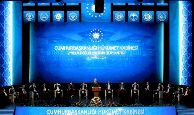 Cumhurbaşkanı Cumhurbaşkanlığı danışma kurullarına danışıyor mu?