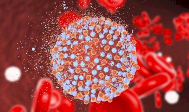 Kayıp hepatitli kalmasın!